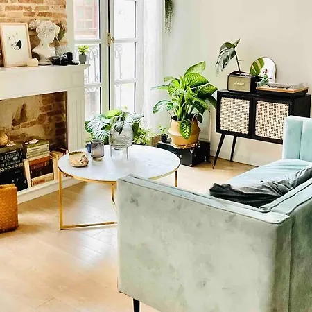 Appartement Très Bel De 60m2 En Centre Ville Lavaur (Tarn)