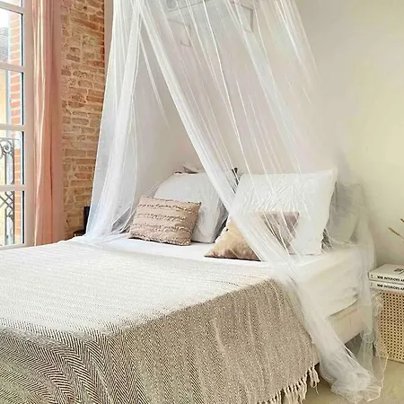 Apartment Tres Bel De 60m2 En Centre Ville